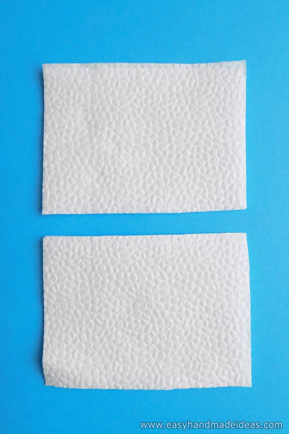 Two Pieces of Paper Napkin