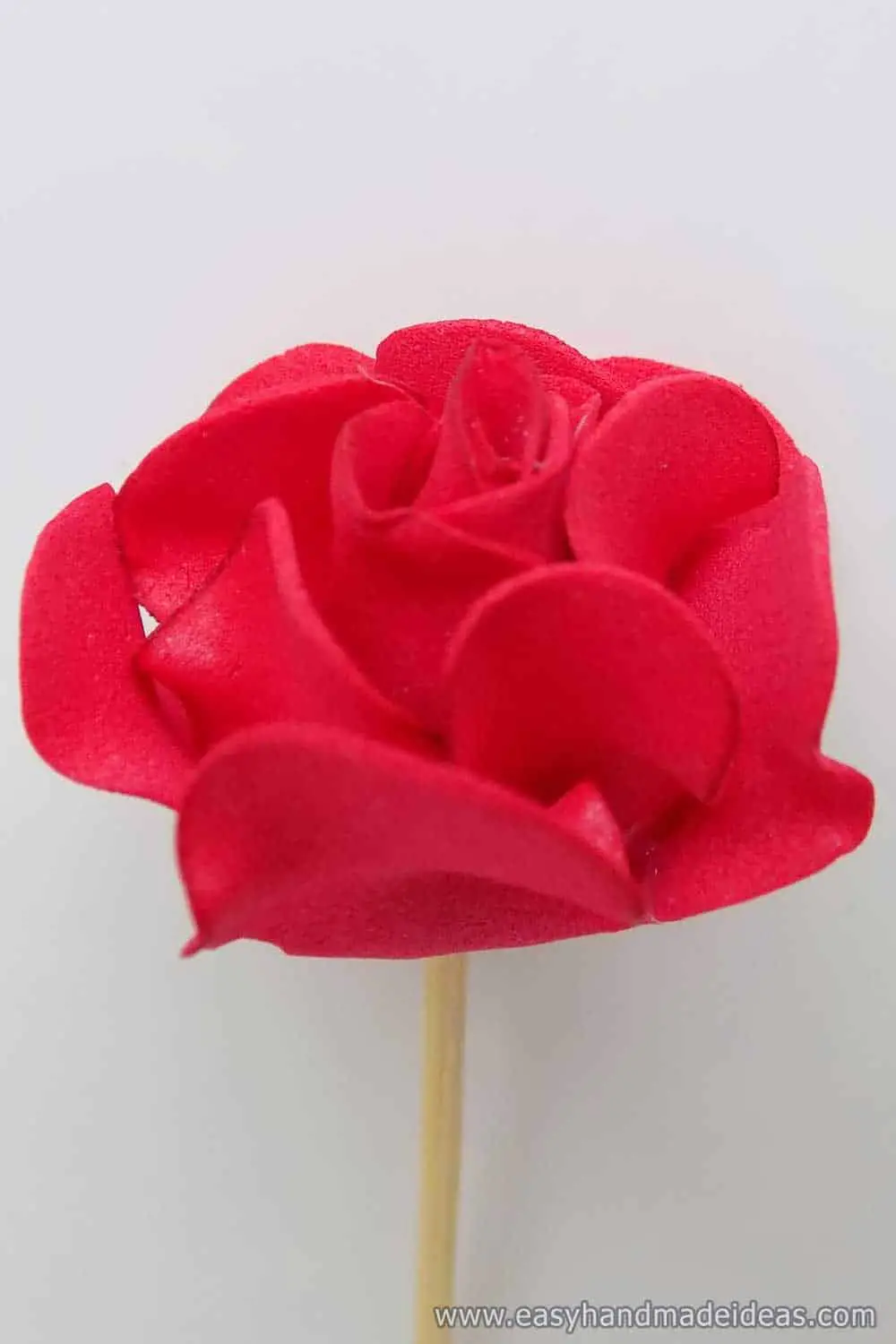 Rose with Formed Petals