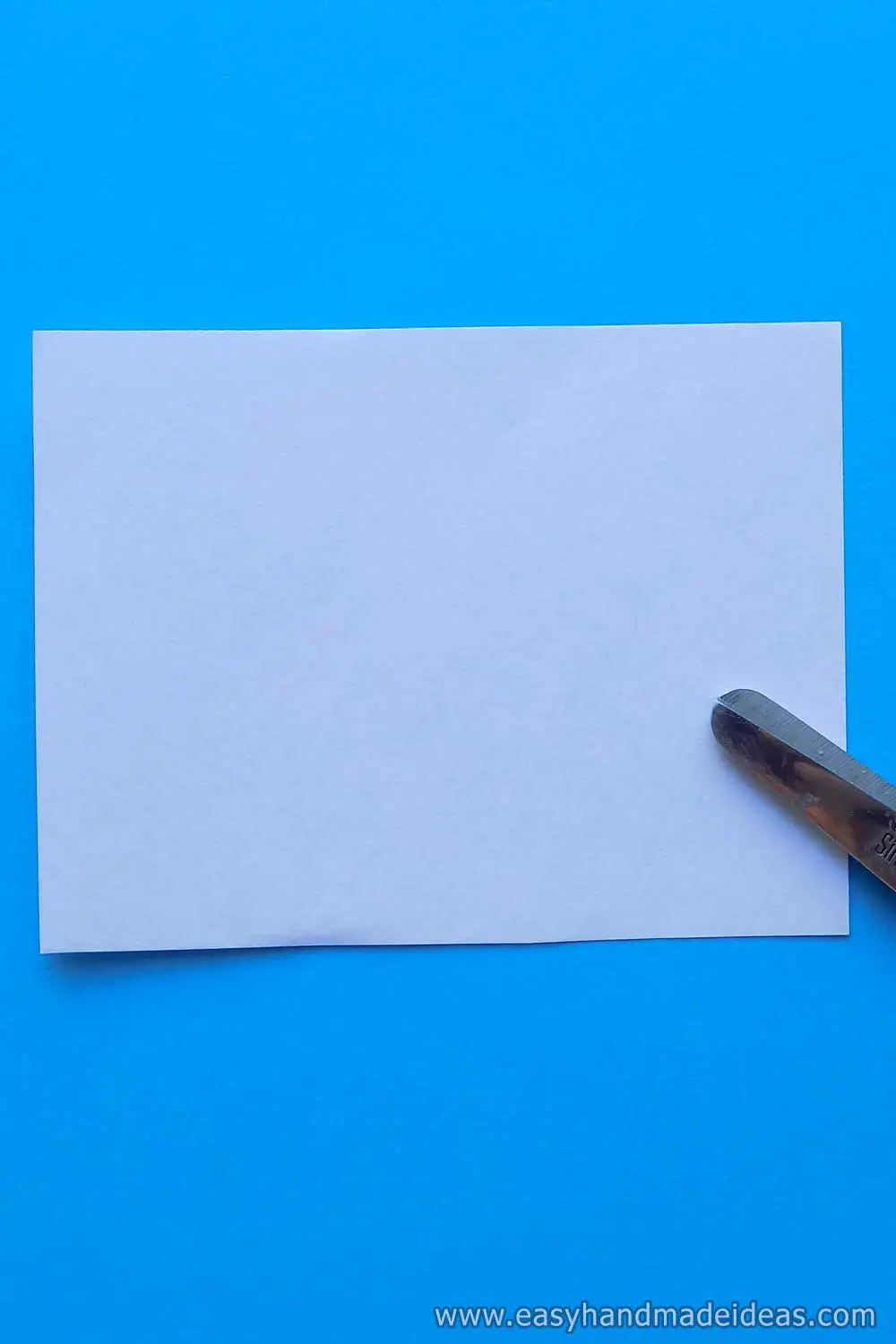 White Sheet of Paper