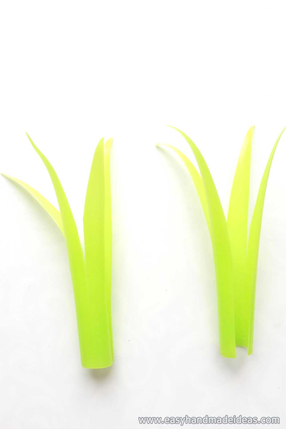 Two Pairs of Leaves from a Straw