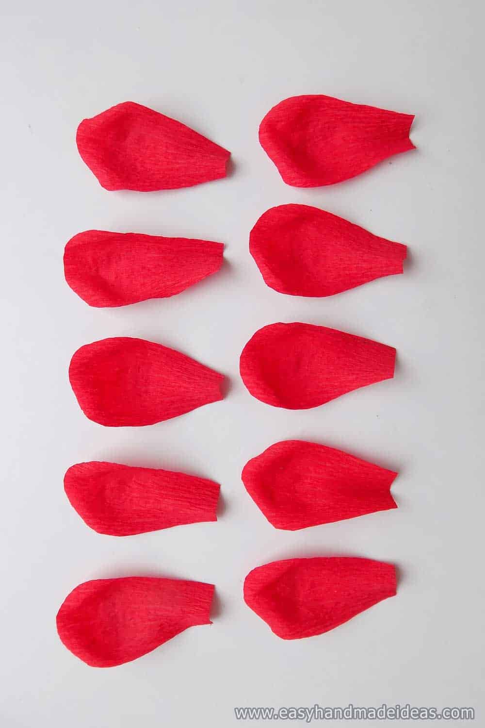 10 Red Petals