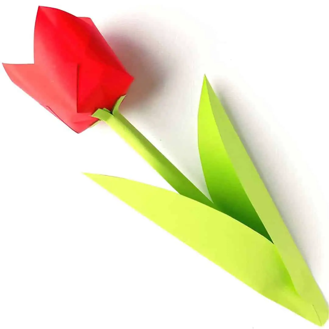 3D Paper Tulip
