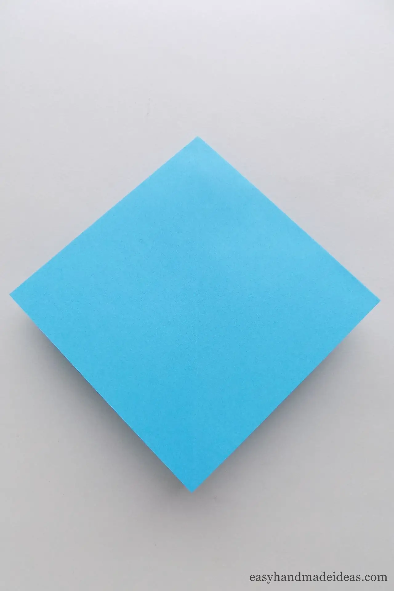 Fold the square in half twice