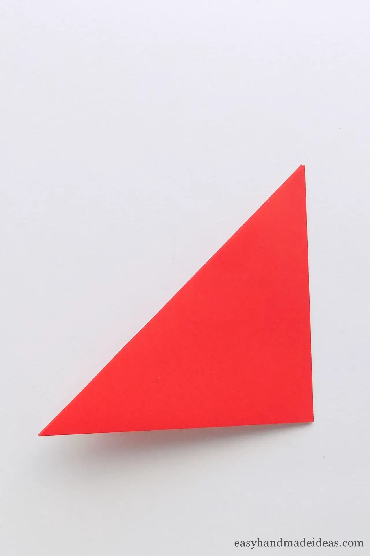Fold the triangle in half by joining the bottom corners