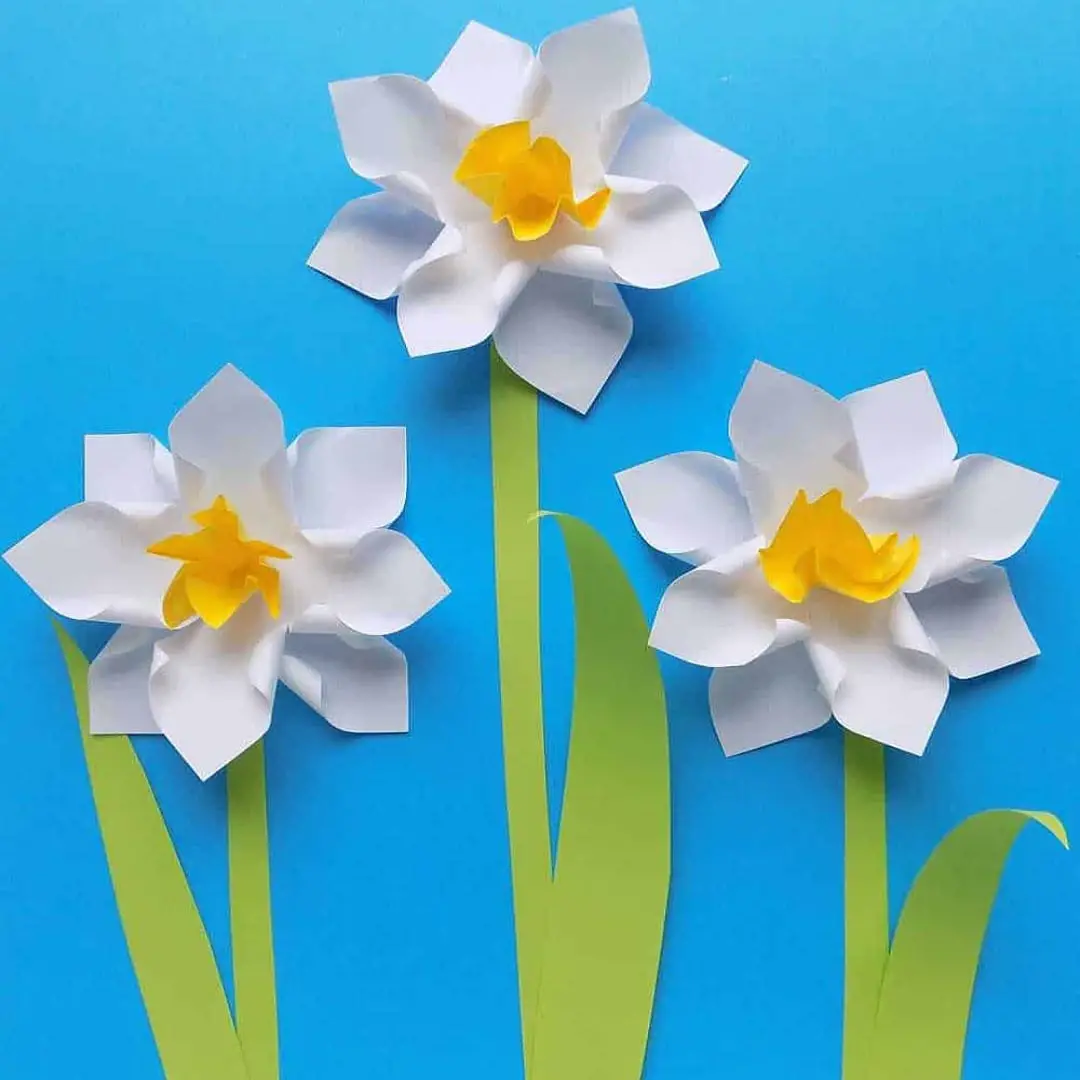 Paper Daffodil Flowers